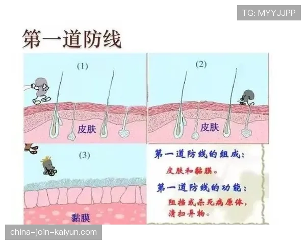 ⚔️ 高位压迫的破解之道：两脚斜长传，如何瞬间撕裂防线？